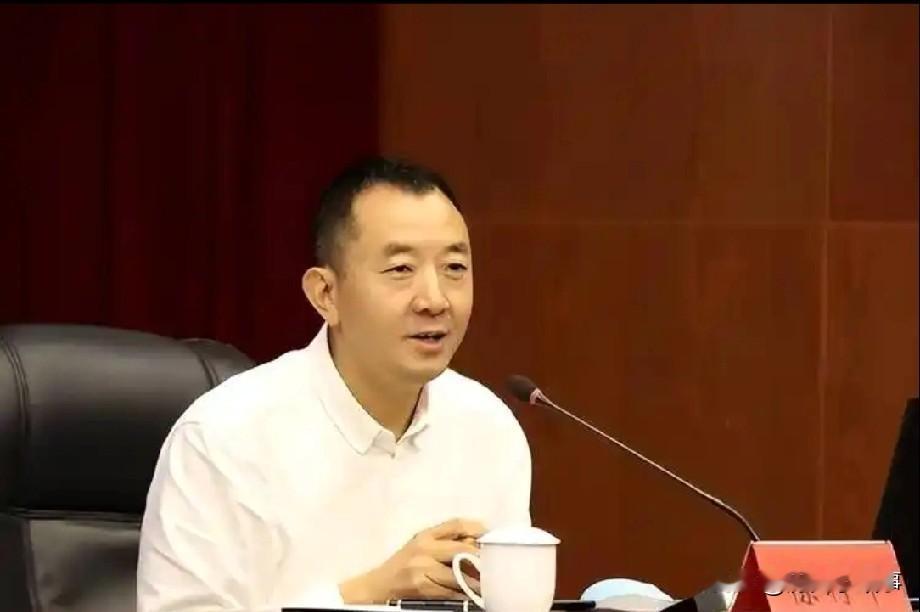 "铁腕书记"陈行甲，离职内幕首次曝光，细思极恐！他说："我所在的那个县，三分之一