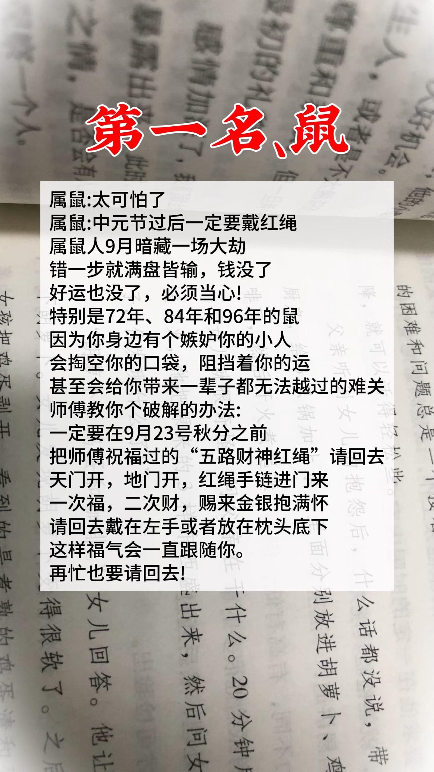 1972年的鼠 1984年老鼠 1996鼠 属鼠的人 生肖鼠