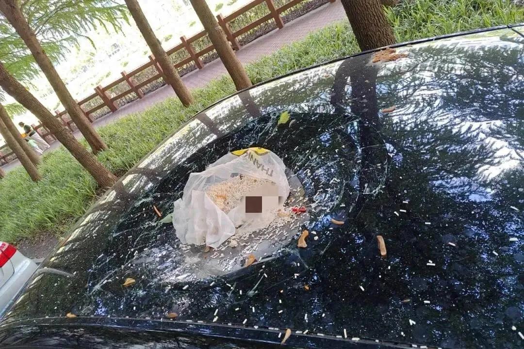 上海闵行，一名男子和妻子发生争吵之后，不想下楼扔垃圾，就直接把一袋重物垃圾从17