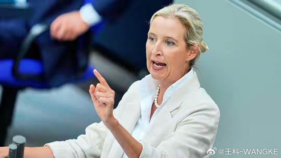 魏德尔有望角逐下一任德国总理，曾在华生活6年，就职于中国银行，博士论文题目是中国养老金制度！魏德尔思