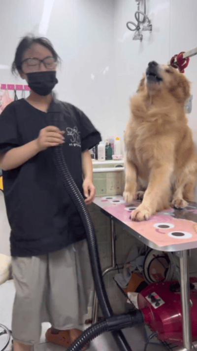 新生代组合二哈神话​​​