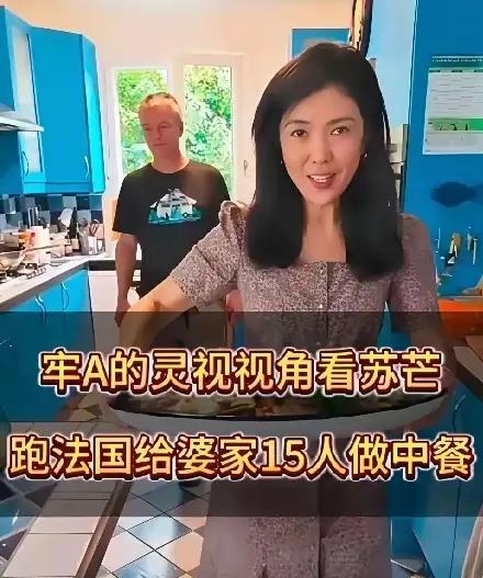 苏芒之所以能接到广告，就是因为外资太强大。苏芒接广告翻车，不是一次两次，也不是