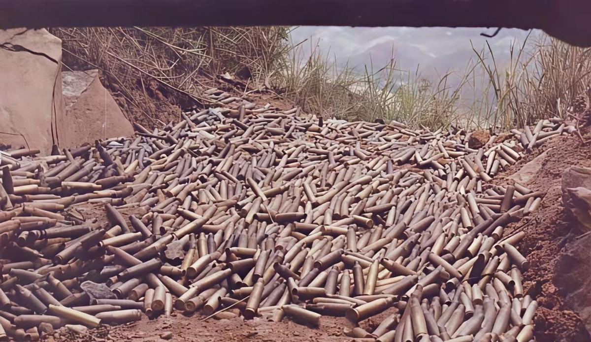 开战第一天，10万发炮弹砸出去，山都震三震。弹壳堆成山，比村口的柴火垛还高。