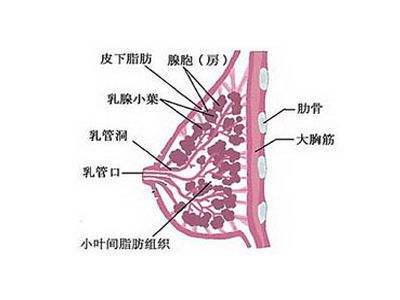 女子6毫米结节确诊乳腺癌健闻登顶计划虽说乳腺癌与其他癌症相比，后果相对较轻，但