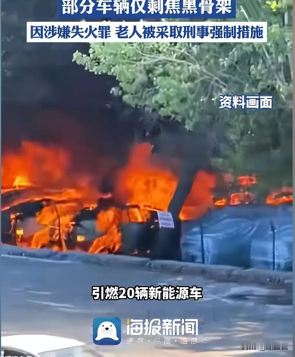 只因嫌杨絮挡路随手点火，七旬老人一把火烧毁20辆新车，损失上百万辽宁大连发