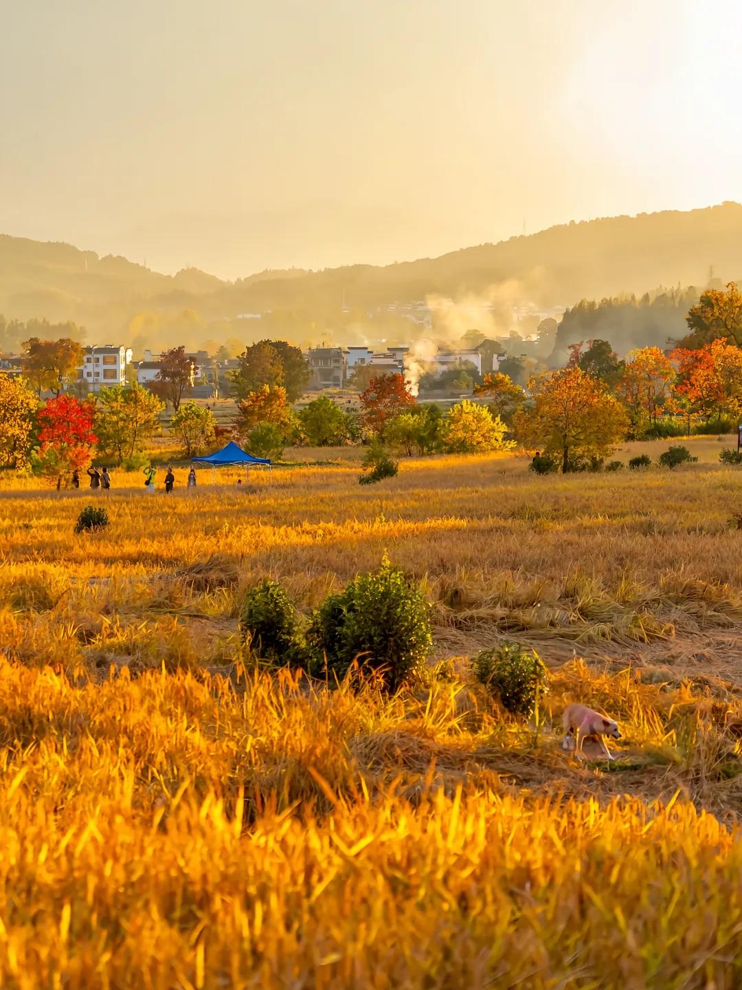 碰到一个高三的学生，家长是希望我用六到七节课帮助孩子解决物理和化学问题，我觉得这