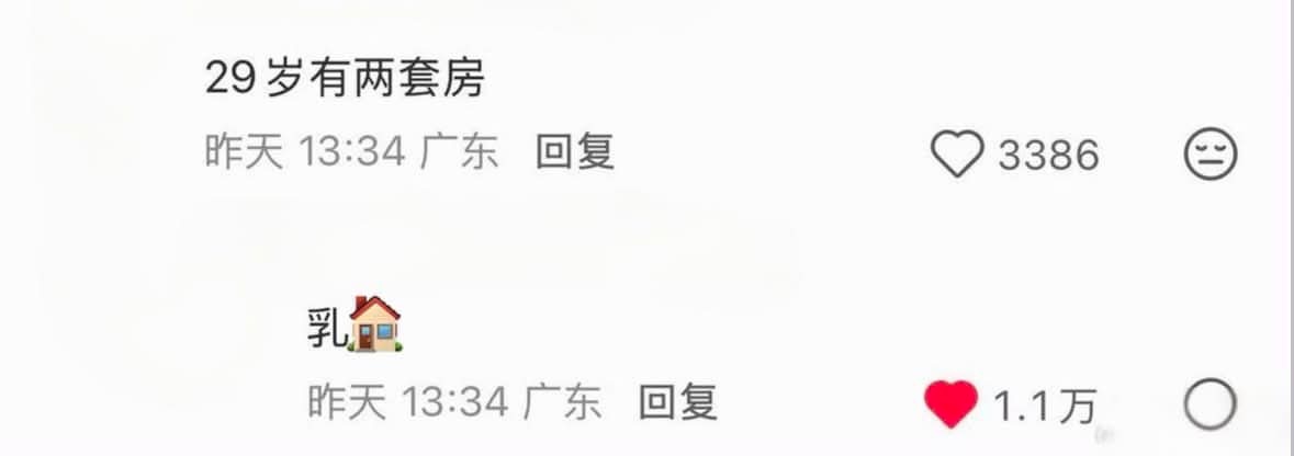 我也有两套房meme