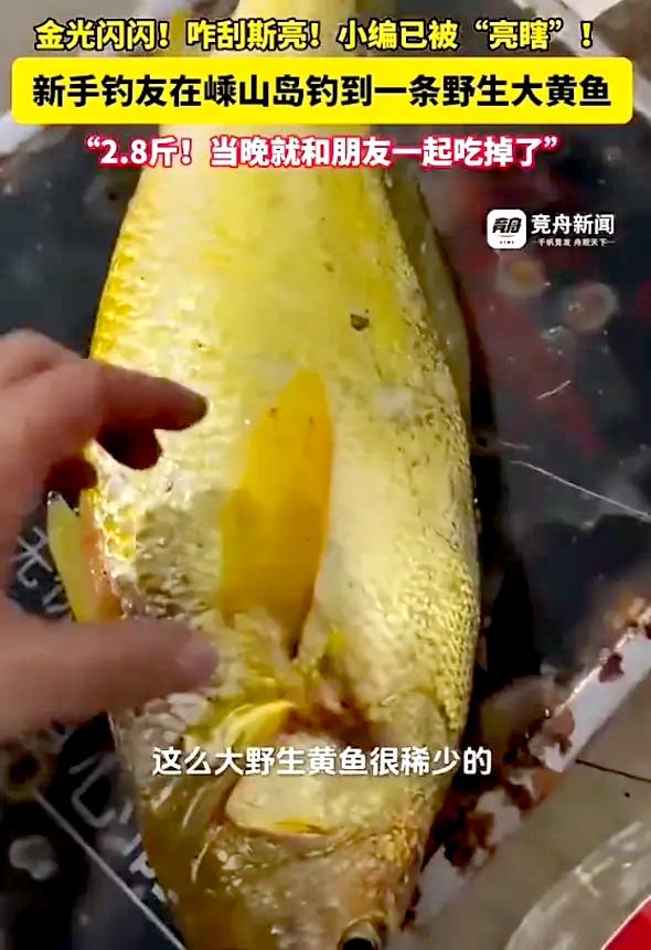 “运气太好了！”9月12日报道，浙江舟山，一女子去钓鱼，她刚把鱼竿放下不久，水里