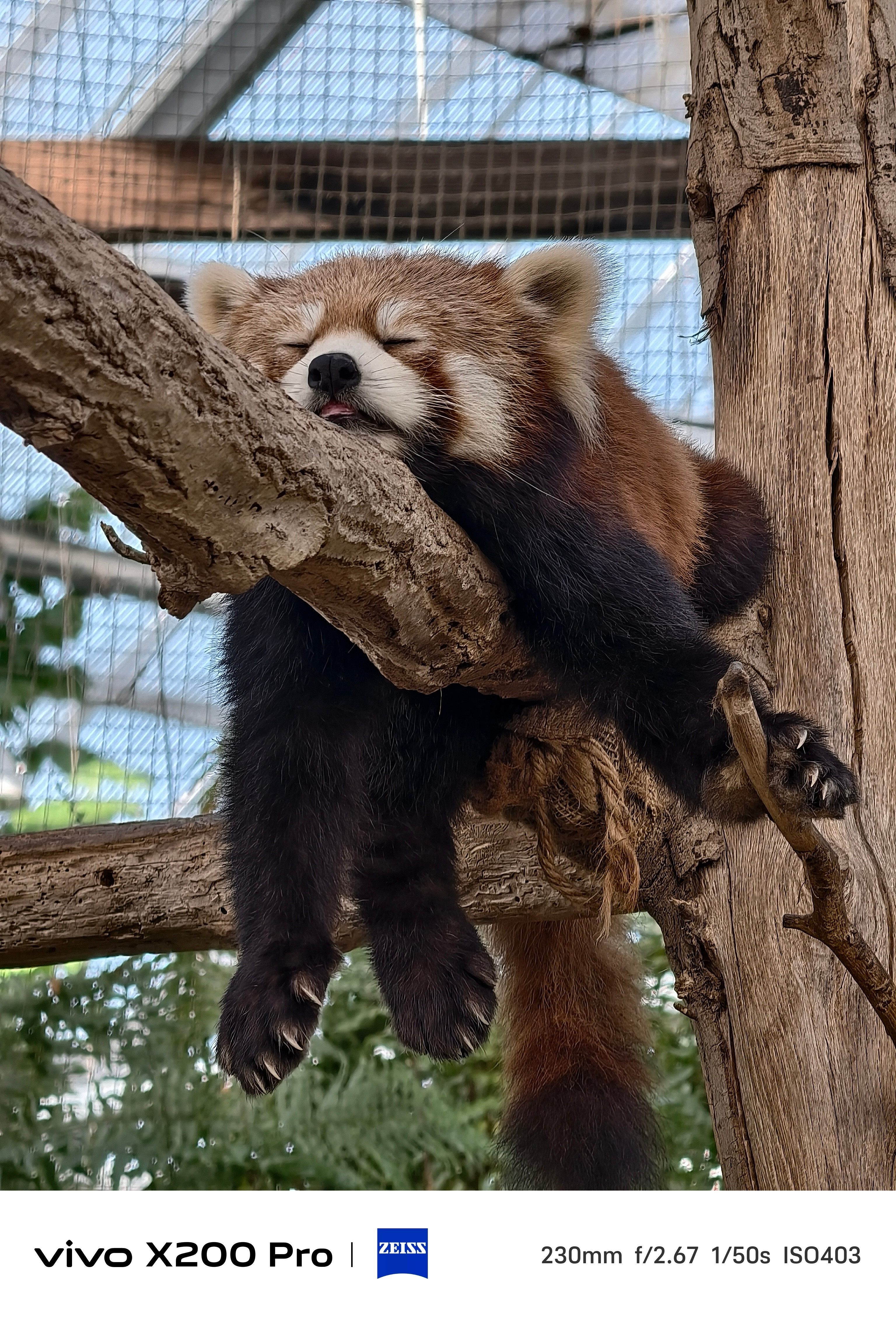 别看现在媒体老师出去五星级比较风光，十年前我刚入行那会儿，大家的标准还都是标间，