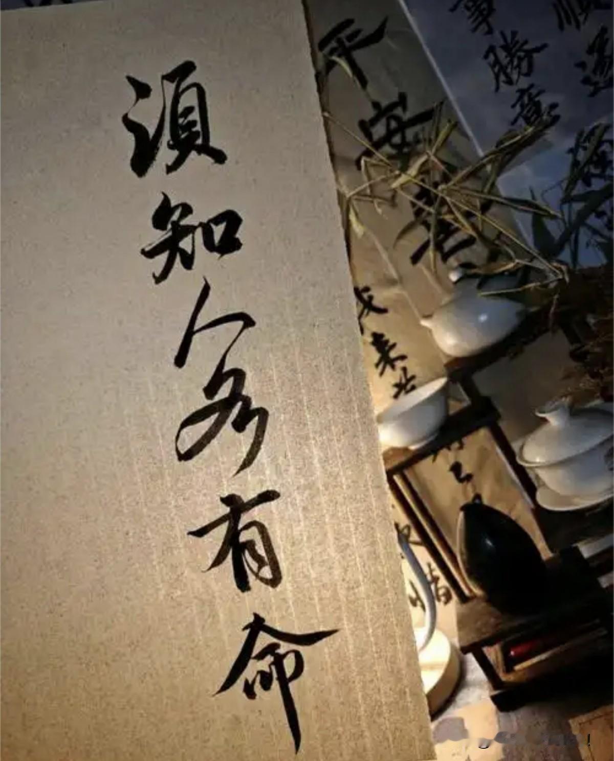 说白了，你的命，从来都是自己说了算咱每个人总说“命好不好”，可你真琢磨过，