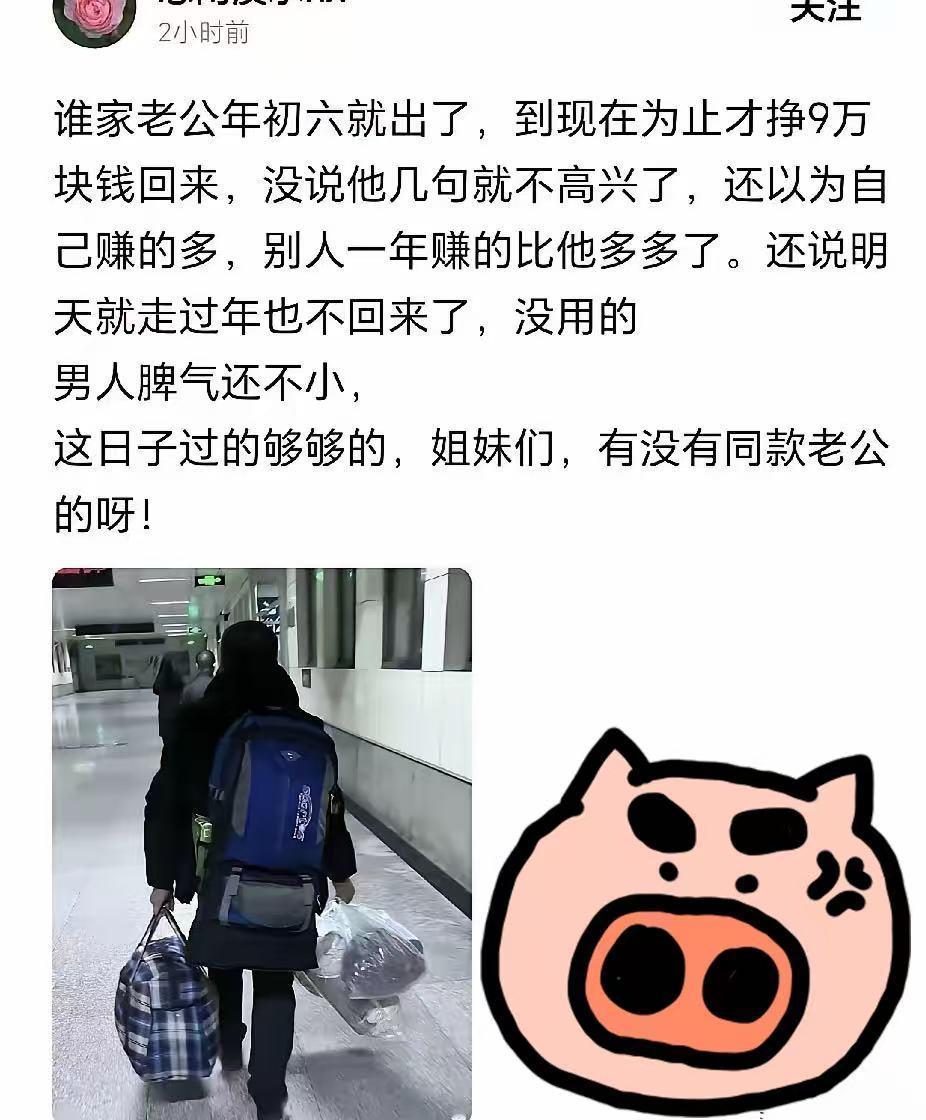 女子在自媒体数落自己的丈夫，年初六就出去打工了，年尾回来的时候只带了9万块钱
