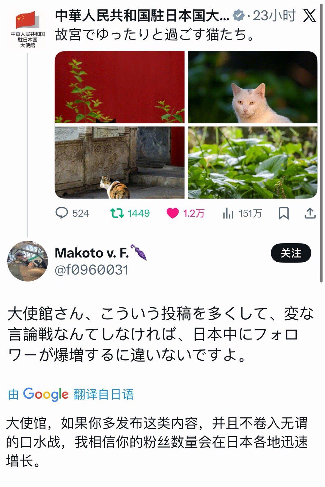 驻日大使馆此前发什么东西都没啥热度！这不近日发了几张故宫猫的照片，意外的火了，