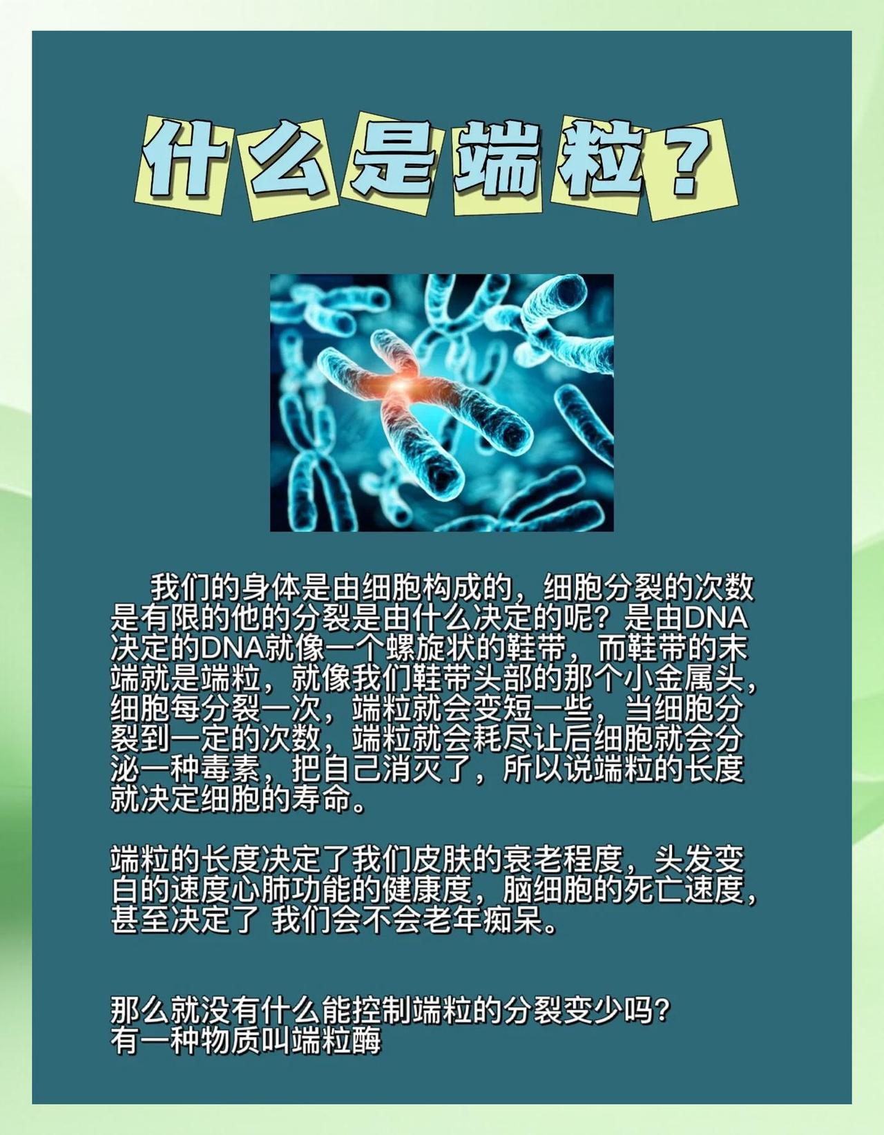 揭示一个残酷的真相:端粒长度决定健康寿命，而杀死端粒的不是压力本身，恰恰是你对压