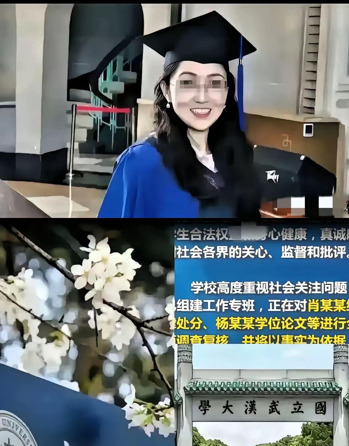 状告母校的杨某媛，结果出来了，法院驳回了她的所有诉求，她输得一塌糊涂。这是要