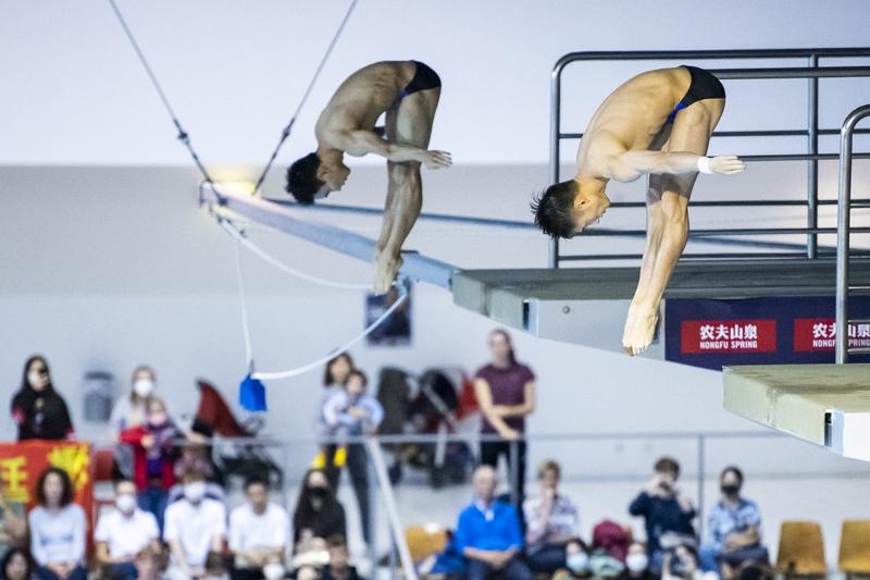 🔥全红婵夺冠后，却被网暴“滚出体坛”？19岁冠军的痛，没人懂！