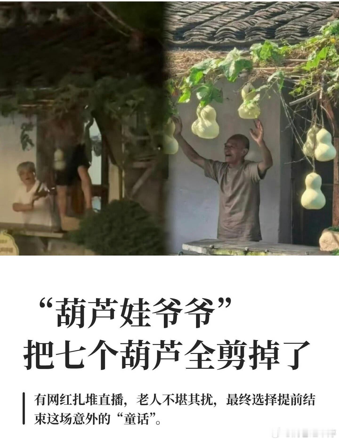 爷爷提前剪葫芦是给流量的一记耳光绍兴75岁的陈爷爷，花几块钱买的葫芦苗，细心照