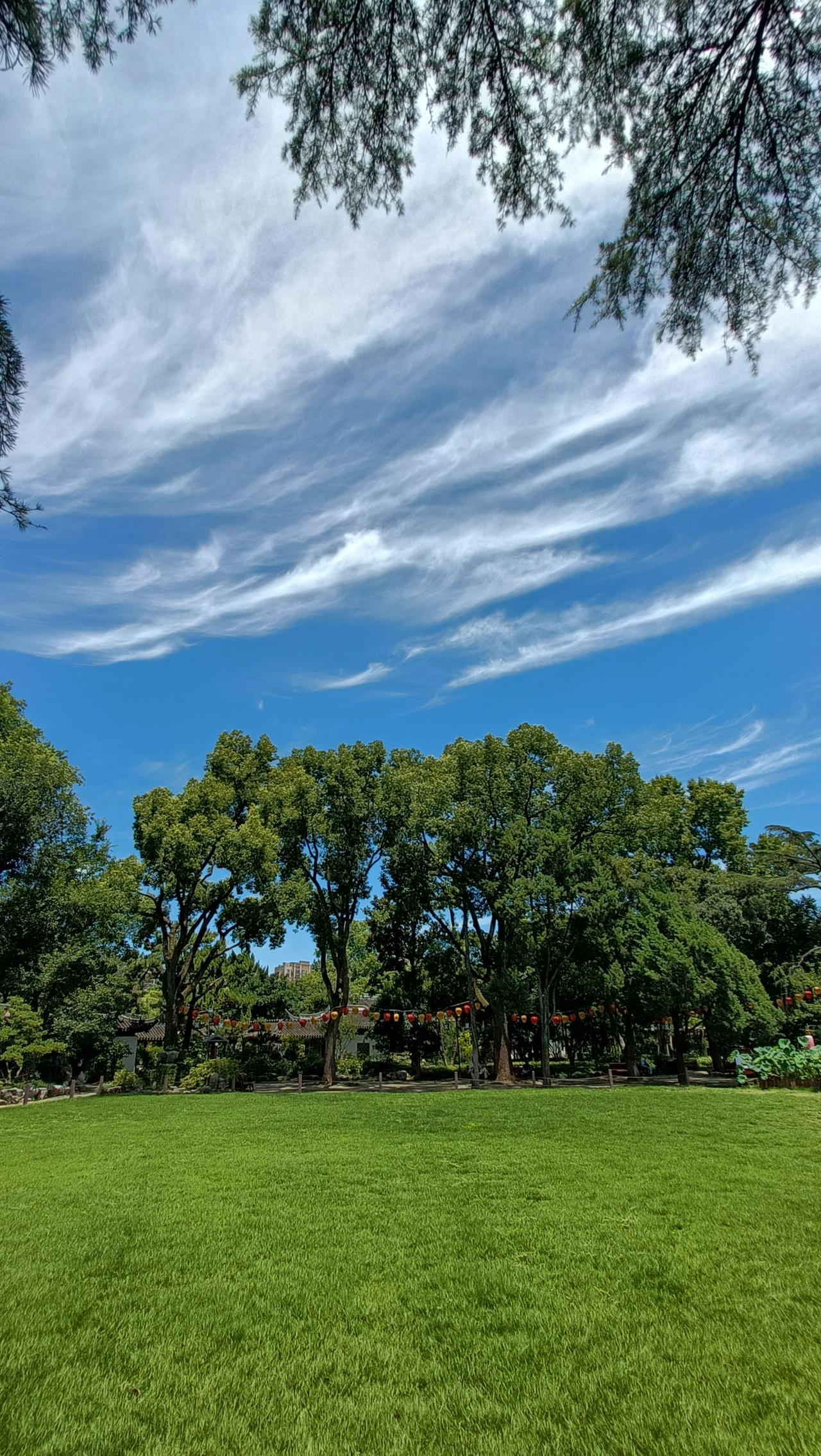 蓝天白云下的绿意盎然，享受大自然的宁静与美好。上联：绿树阴中见，下联：红花开