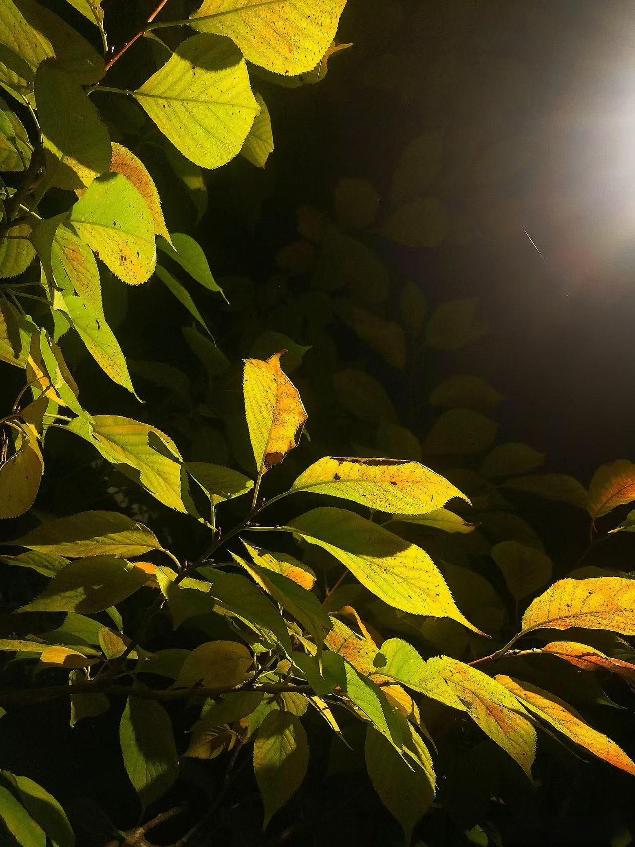 你这辈子听过最诛心的话是什么？孩子一岁多的时候吃饭，我炖了排骨。吃到一半孩子从