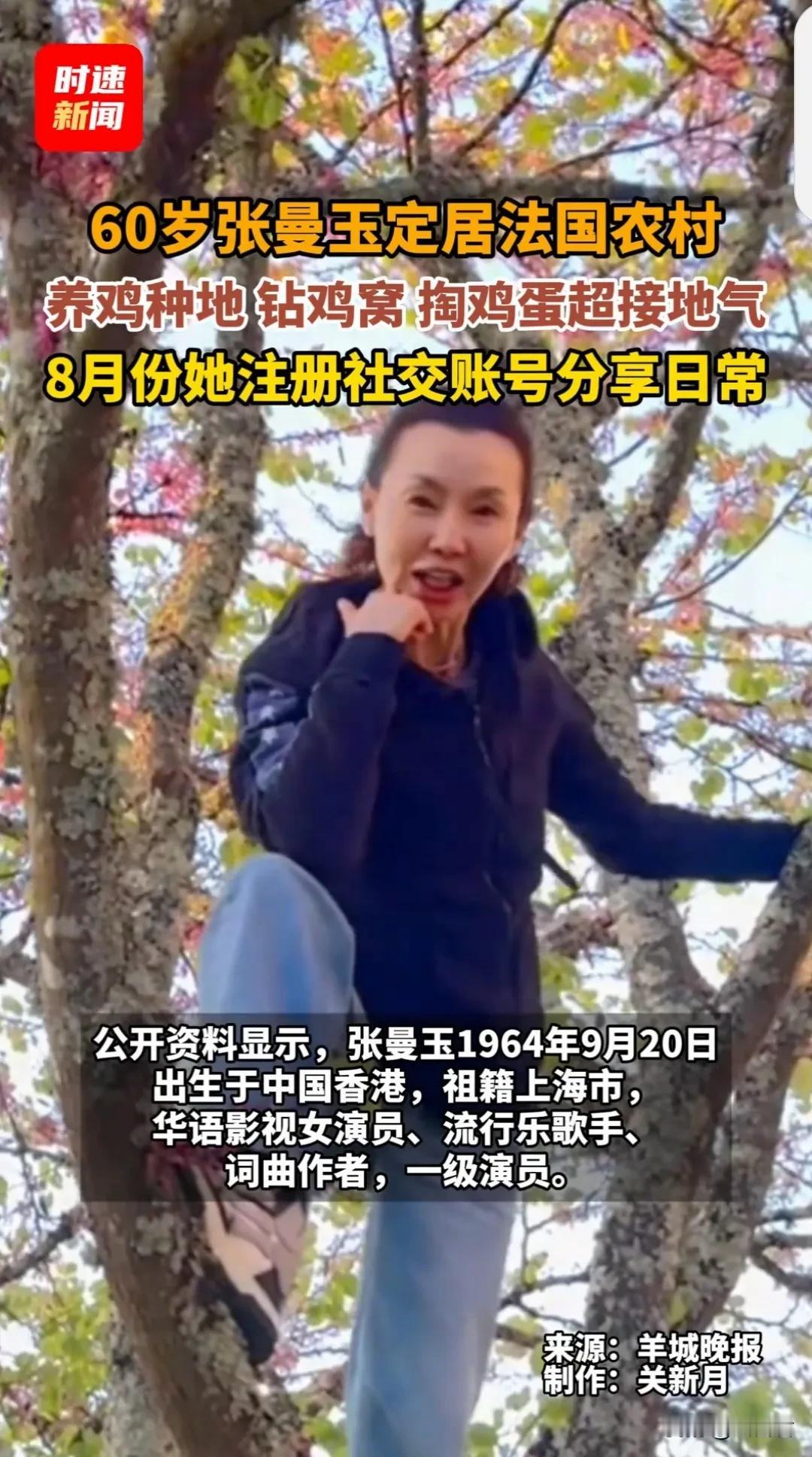 60多岁的张曼玉在法国种菜养鸡，40多岁的汤唯在韩国种菜养鸡！原来大明星寻找一生