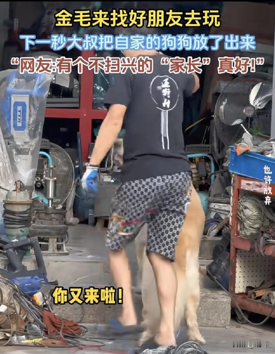 泪目了！一位大叔养了一只小狗，平时就非常宠爱，还经常带它出去玩，这期间小狗认识了