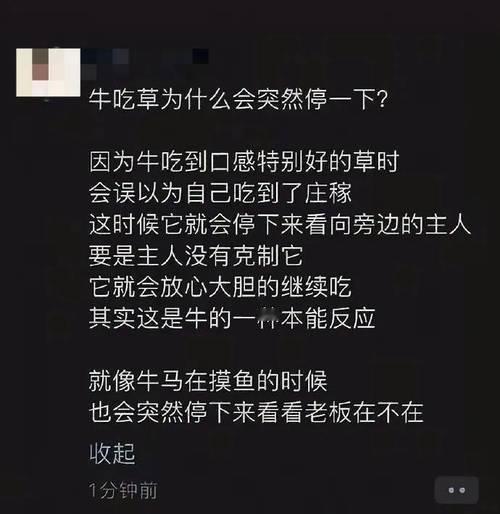 牛马打工人原来和牛是一样一样的，哈哈哈！