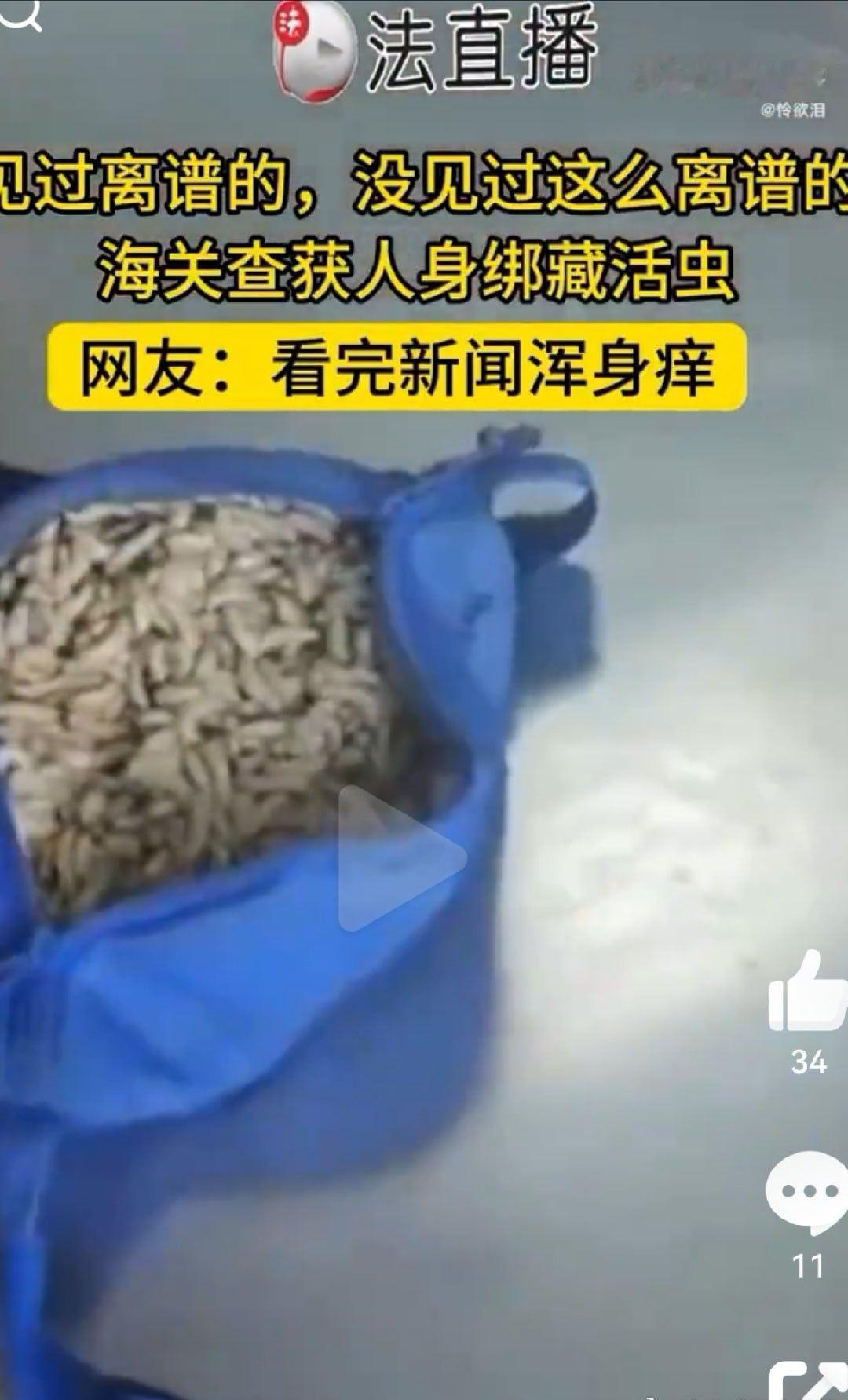 说是内外价差大，所以就藏裤子里，然后再拿去卖餐馆炒？不过这虫子🐛就算价差大，又