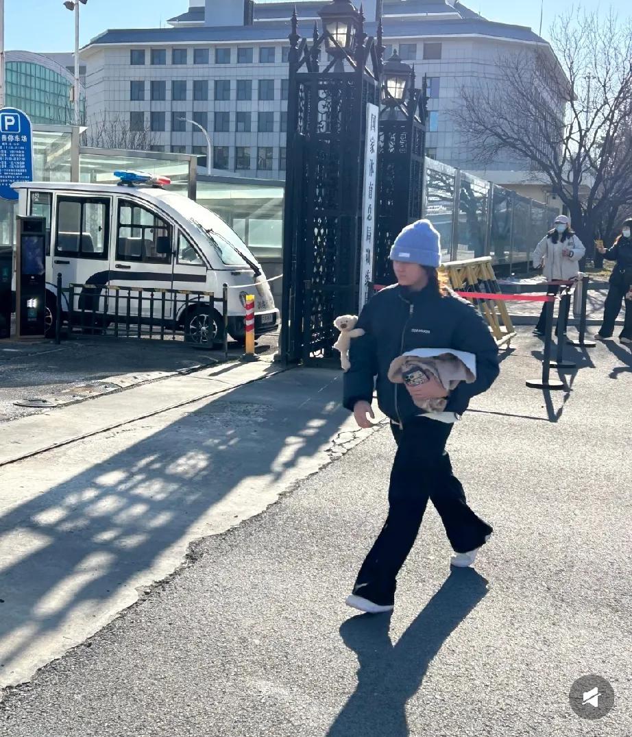 全红婵到底有没有被抛弃？她究竟还能够不能够再次登上跳水的跳台。对于这些问题，