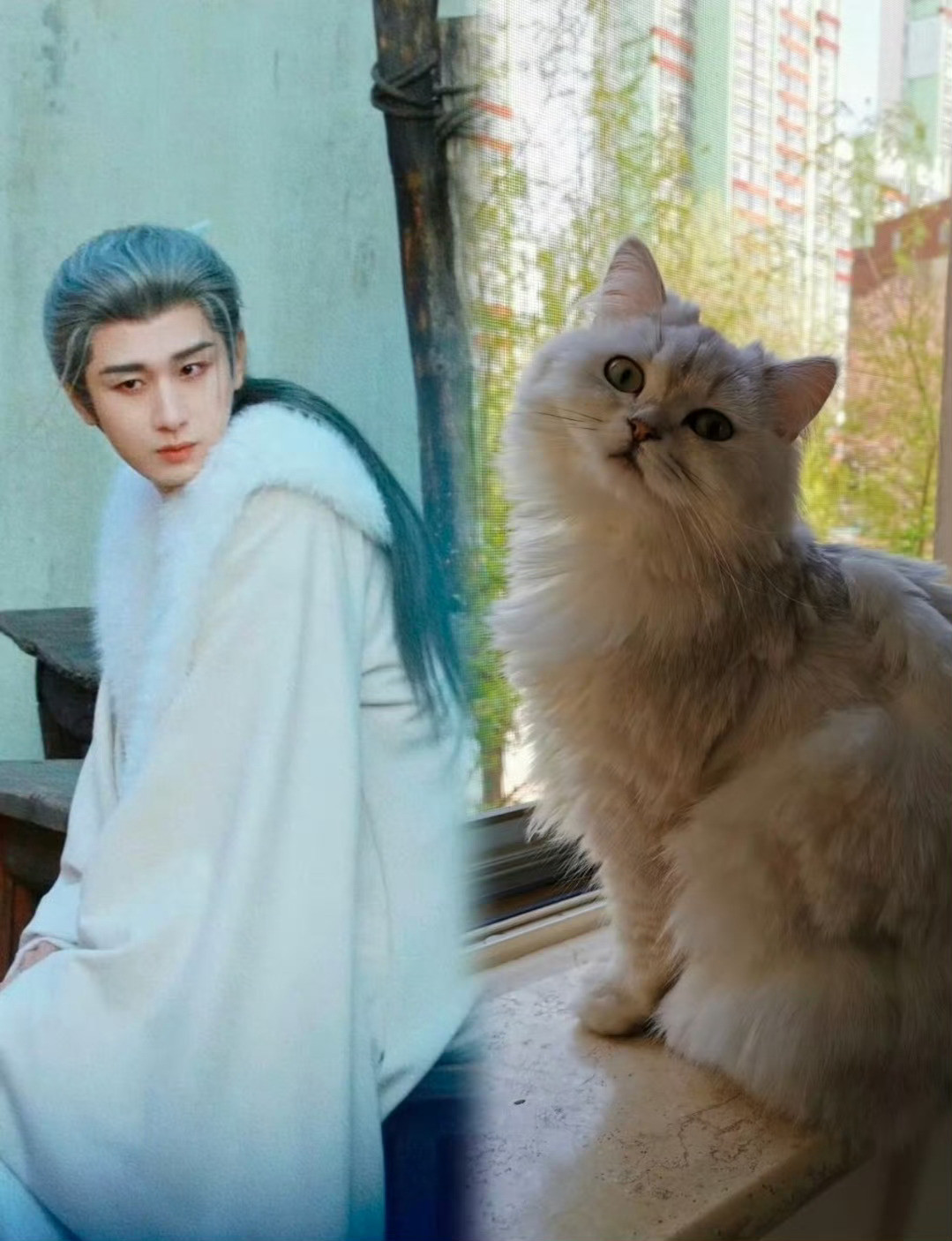 傅诗淇那些可可爱爱猫猫狗狗属性戏里戏外都是如此令人喜爱和难忘只能说淇淇的可塑性太