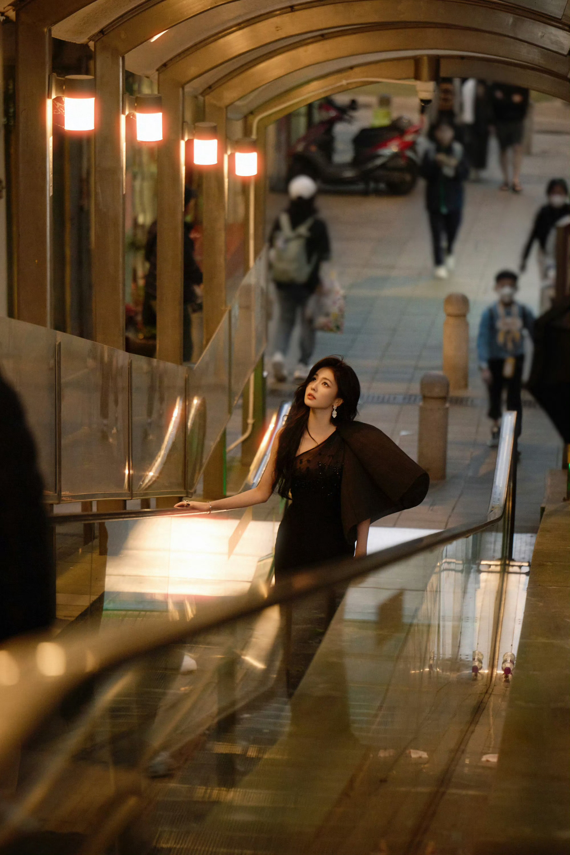 白鹿在逃黑天鹅好美的女王，澳门街头在逃黑天鹅！