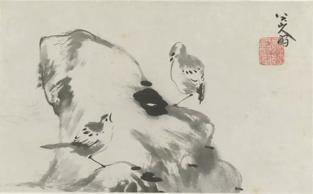 八大山人写生图册。新城事遇见艺术
