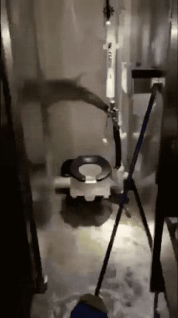 福特号航母“喷粪”视频曝光，美军这次的脸全被丢光了！美军福特号航母本来是冲着伊