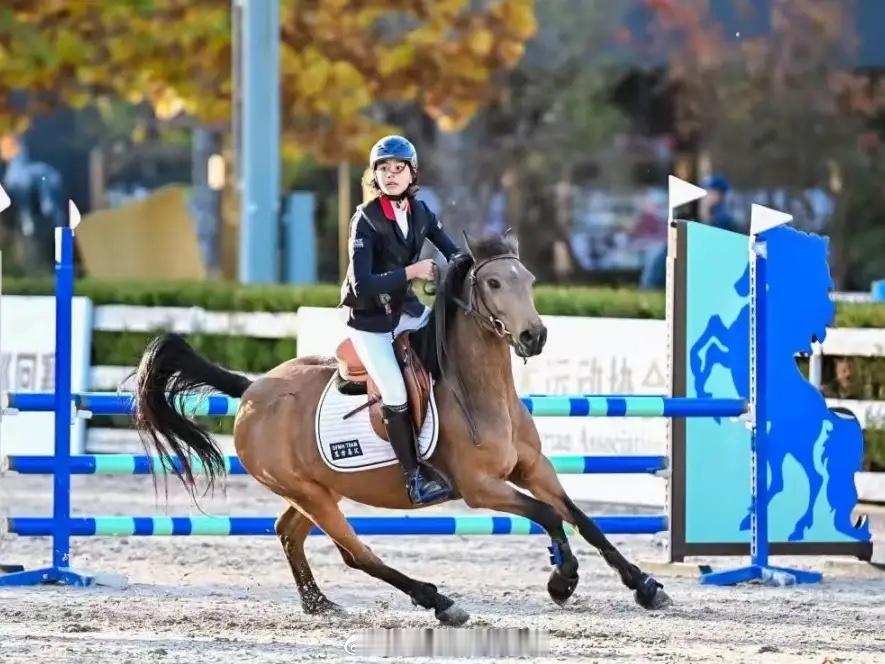刘烨妻子安娜晒出女儿骑马照片，霓娜骑马特别英姿飒爽，好酷啊！现在有钱人都喜欢送孩