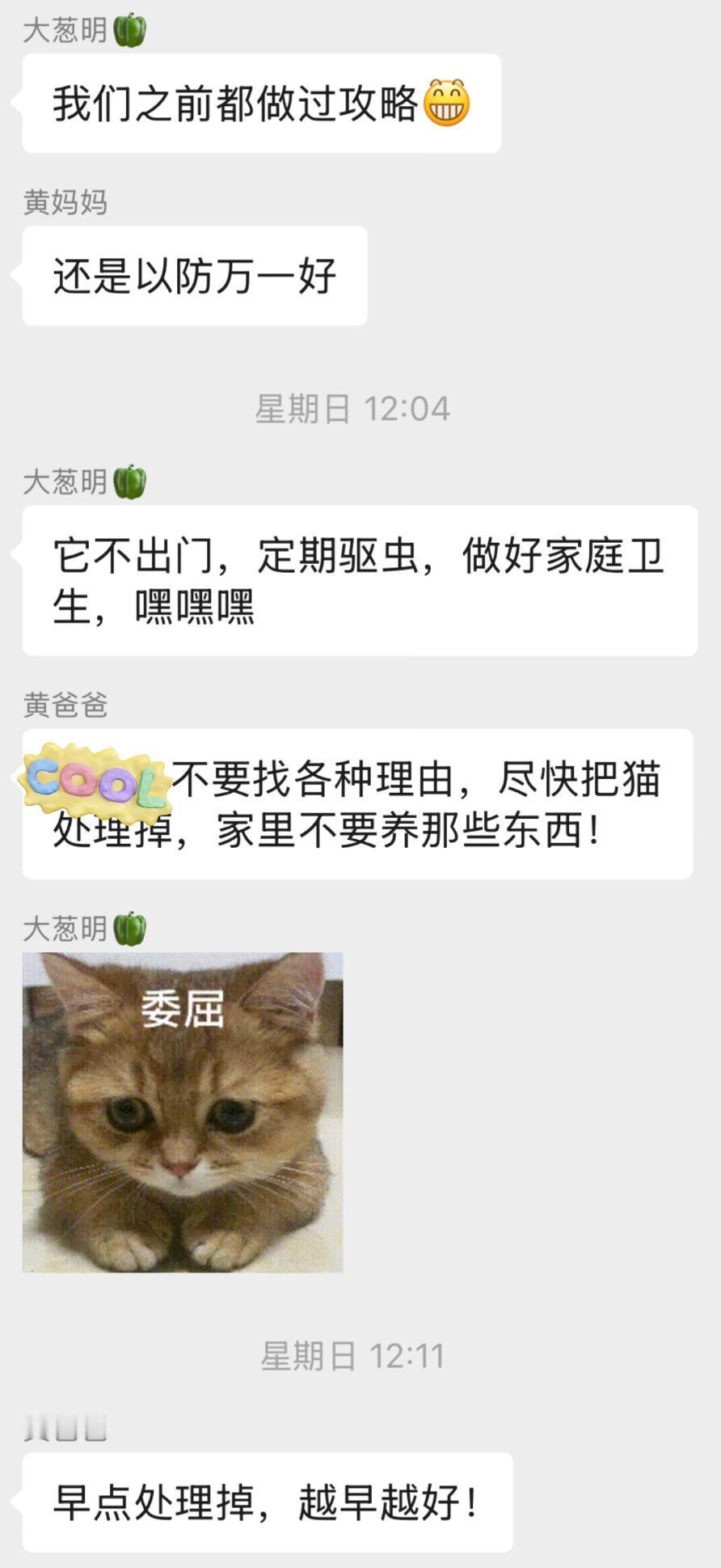 公婆下最后通牒送走猫！！！​​​