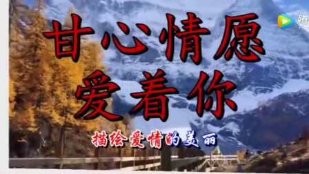 甘心情愿
