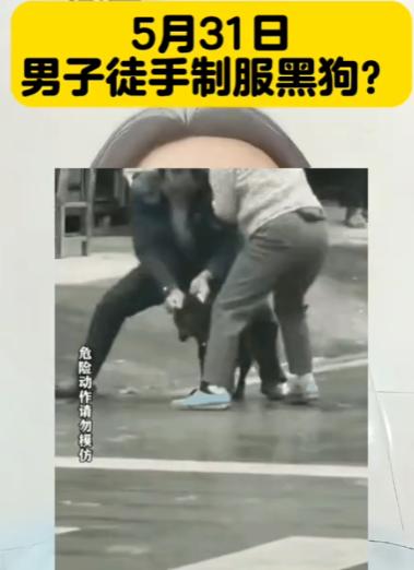看得解气！大妈遛大型犬不牵绳，结果把路人咬了，当时男子一点没慌张，反手掐住狗，重