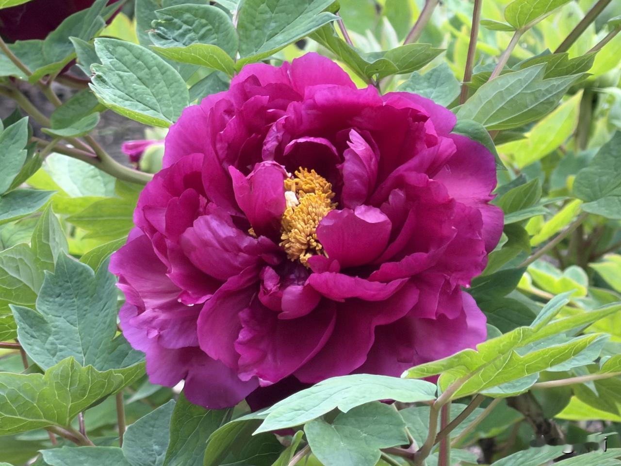 友友们，咱们退休以后，最该戒掉的就是精神内耗。学会放下，善待自己，你会越来越好。