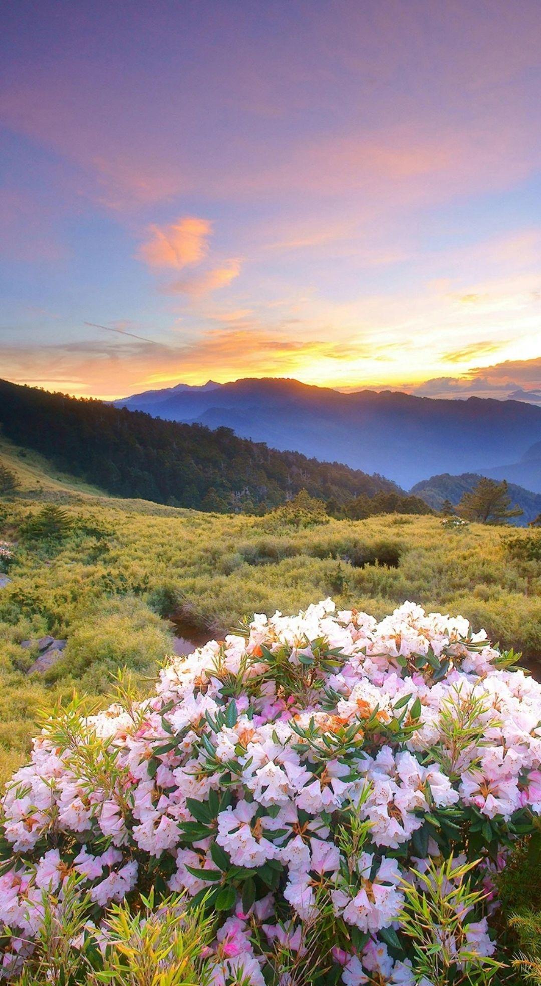 永远别原谅伤害过你的亲兄弟姐妹，他们的良心，一文不值人这一辈子，最寒心的事