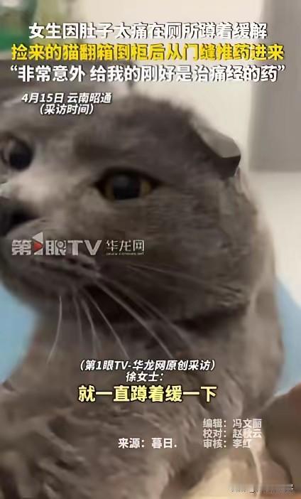 万万没有想到，云南昭通，一女子因姨妈期肚子疼，就在厕所里蹲着缓一缓，可就在她难受