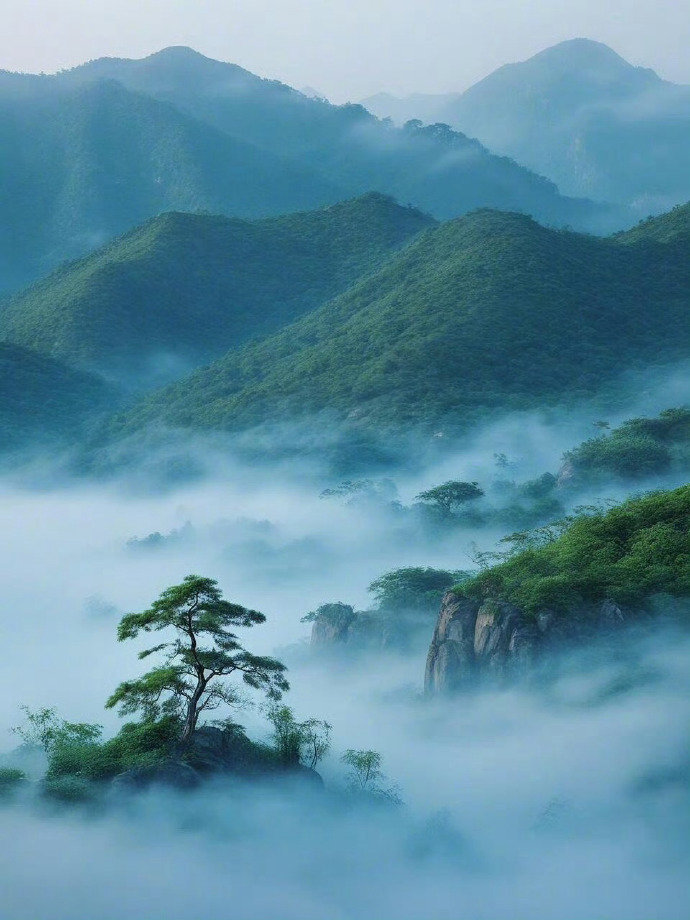 “青山不语，清风语…”​​​