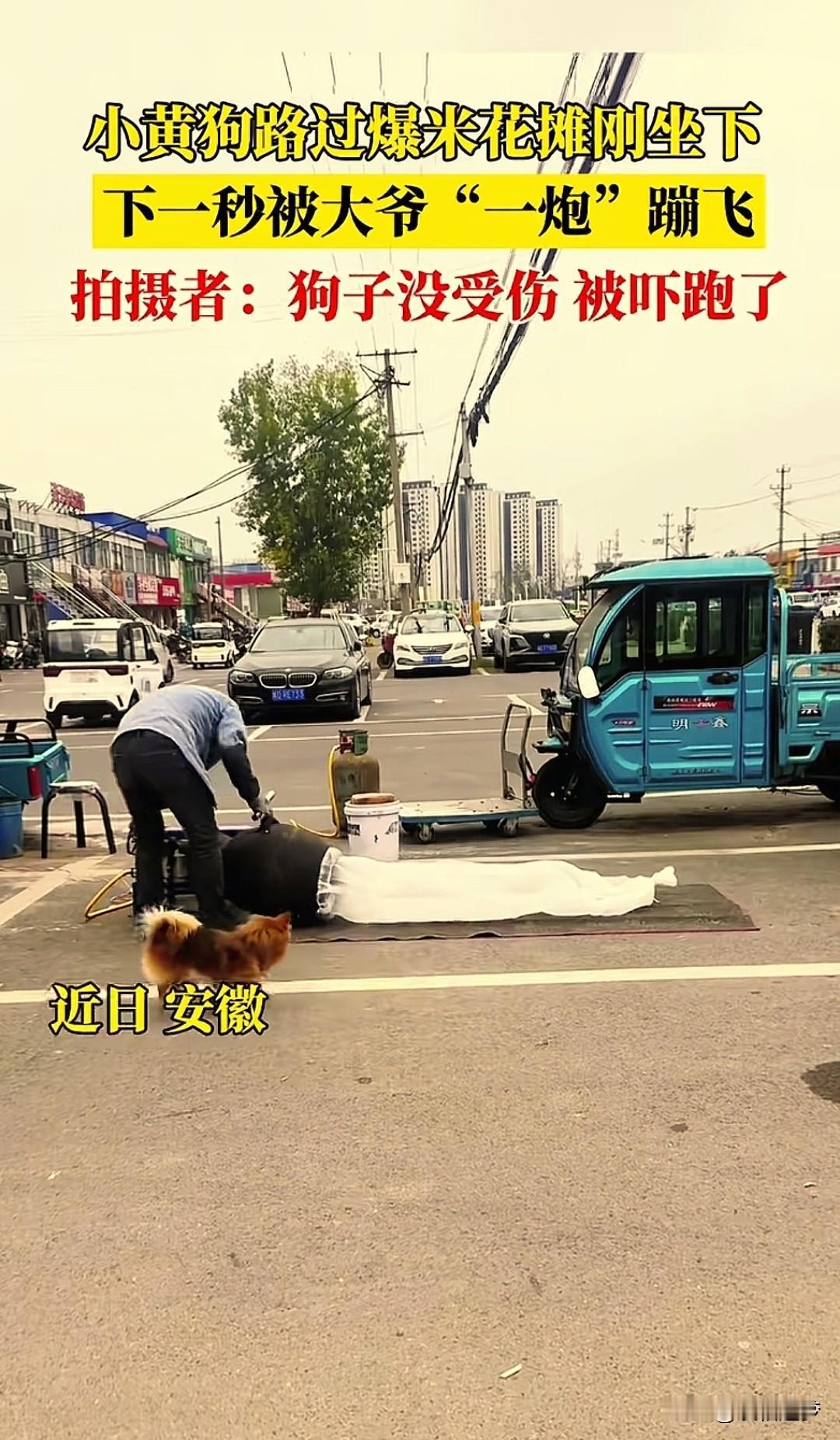 “哭笑不得！”安徽，一大爷在街头蹦爆米花，路旁的一只小狗跑过来凑热闹，小狗刚坐在