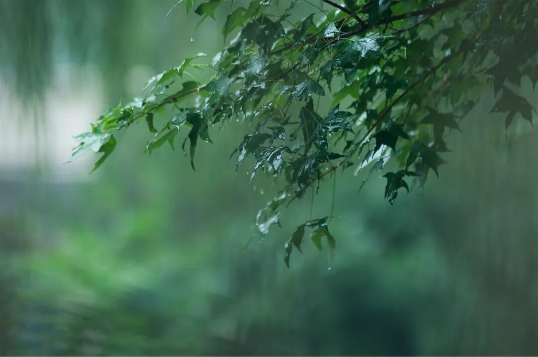 大到暴雨! 跌8℃! 江苏降温时间定了