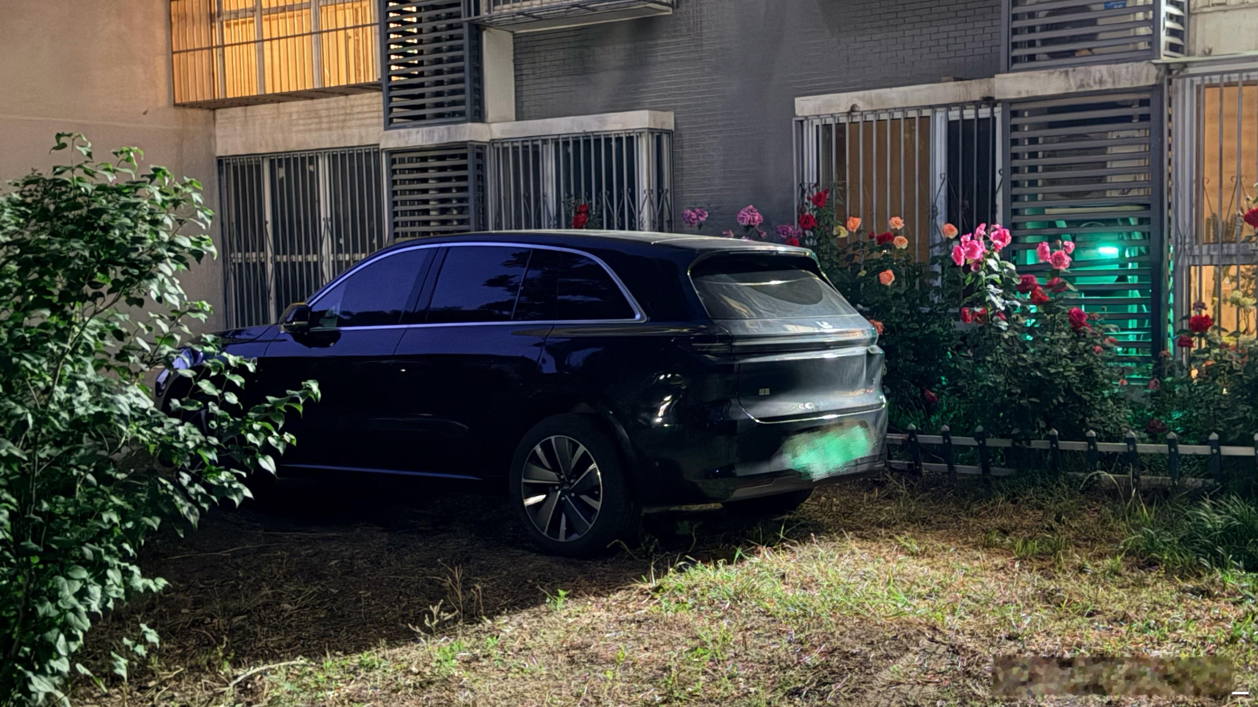 网上跟风黑理想的很多，我本不认同这个观点，毕竟大马路上其他品牌没素质的车主也很多