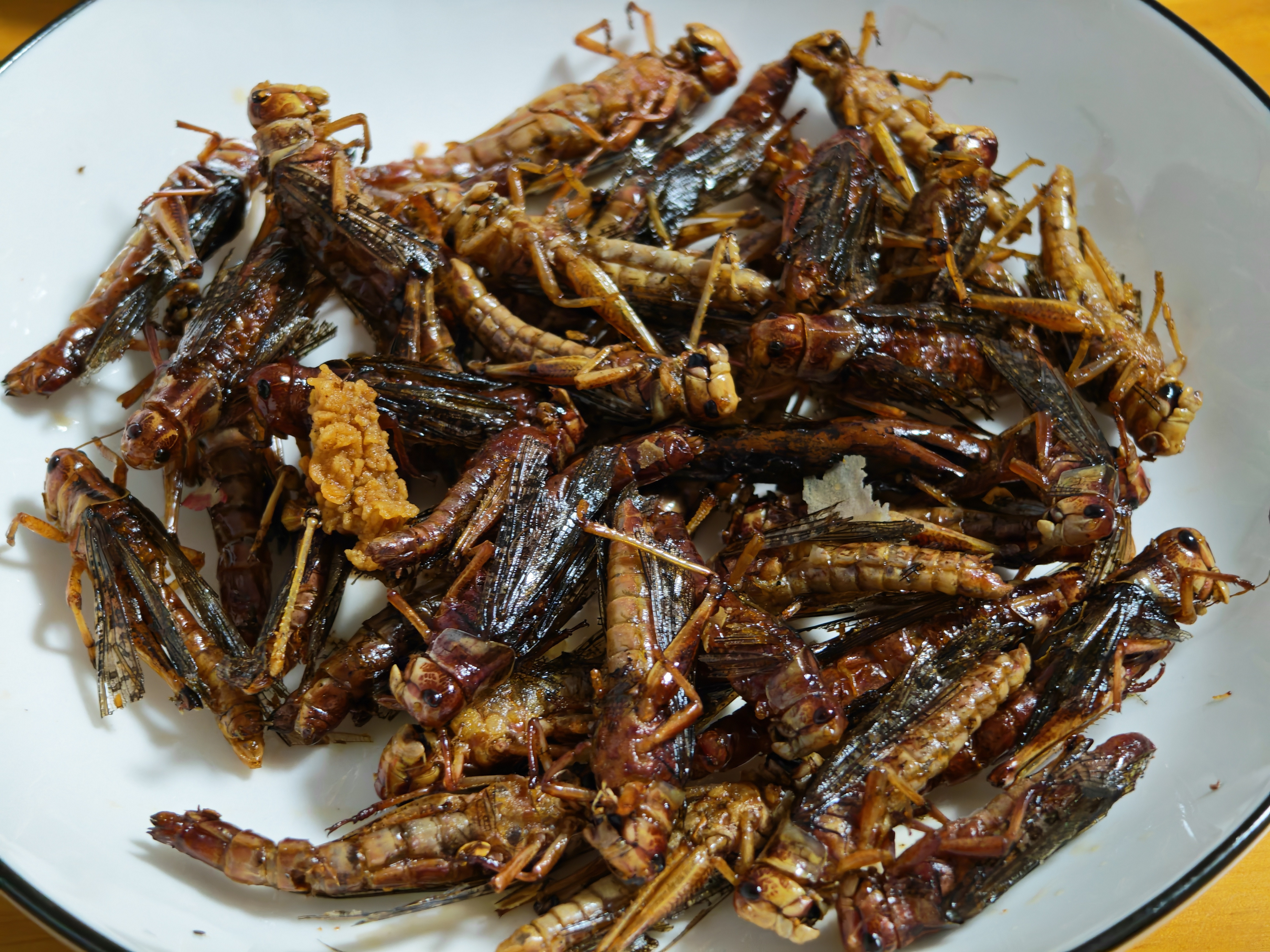 今晚的晚饭都是蛋白质[大笑]营养丰富，味道鲜美牛肉，蚂蚱，玉米～​​​