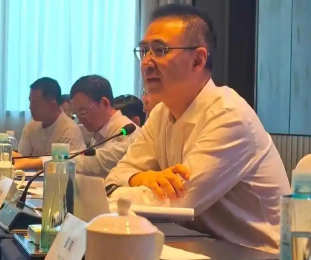 长安高管大胆预测日前，长安汽车执行副总裁杨大勇在媒体沟通会上对未来中国汽车动力