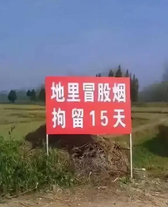 如果他这么放烟花可以，那么是不是就可以理解为，田间地头可以烧荒了，毕竟很多草里面