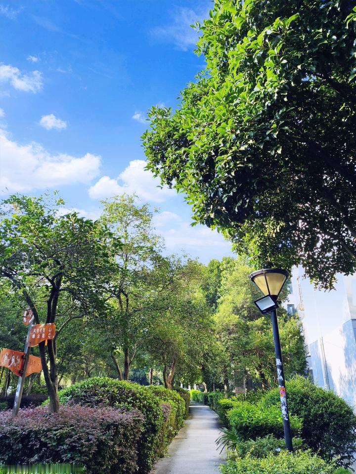 南京发布高温橙色预警，最高气温可达37℃！这天气简直要把人热融化了。2026