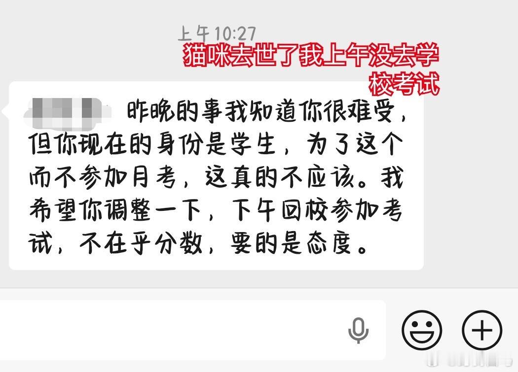 猫咪去世妈妈给我发了这样一段话……