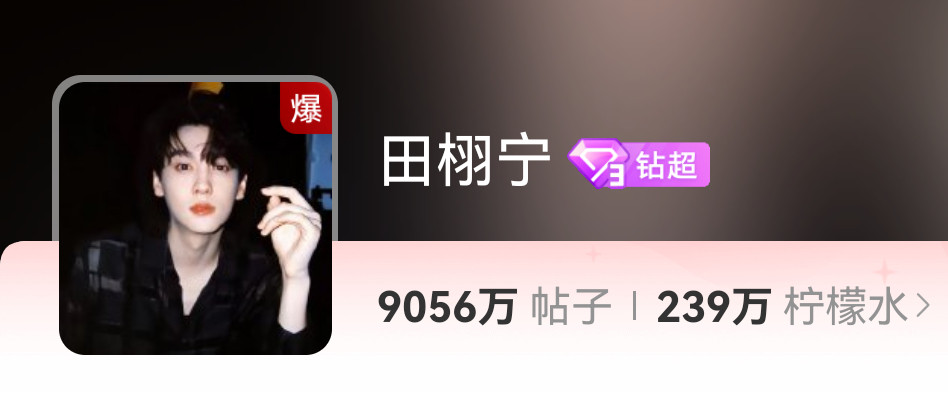 田栩宁超话爆了