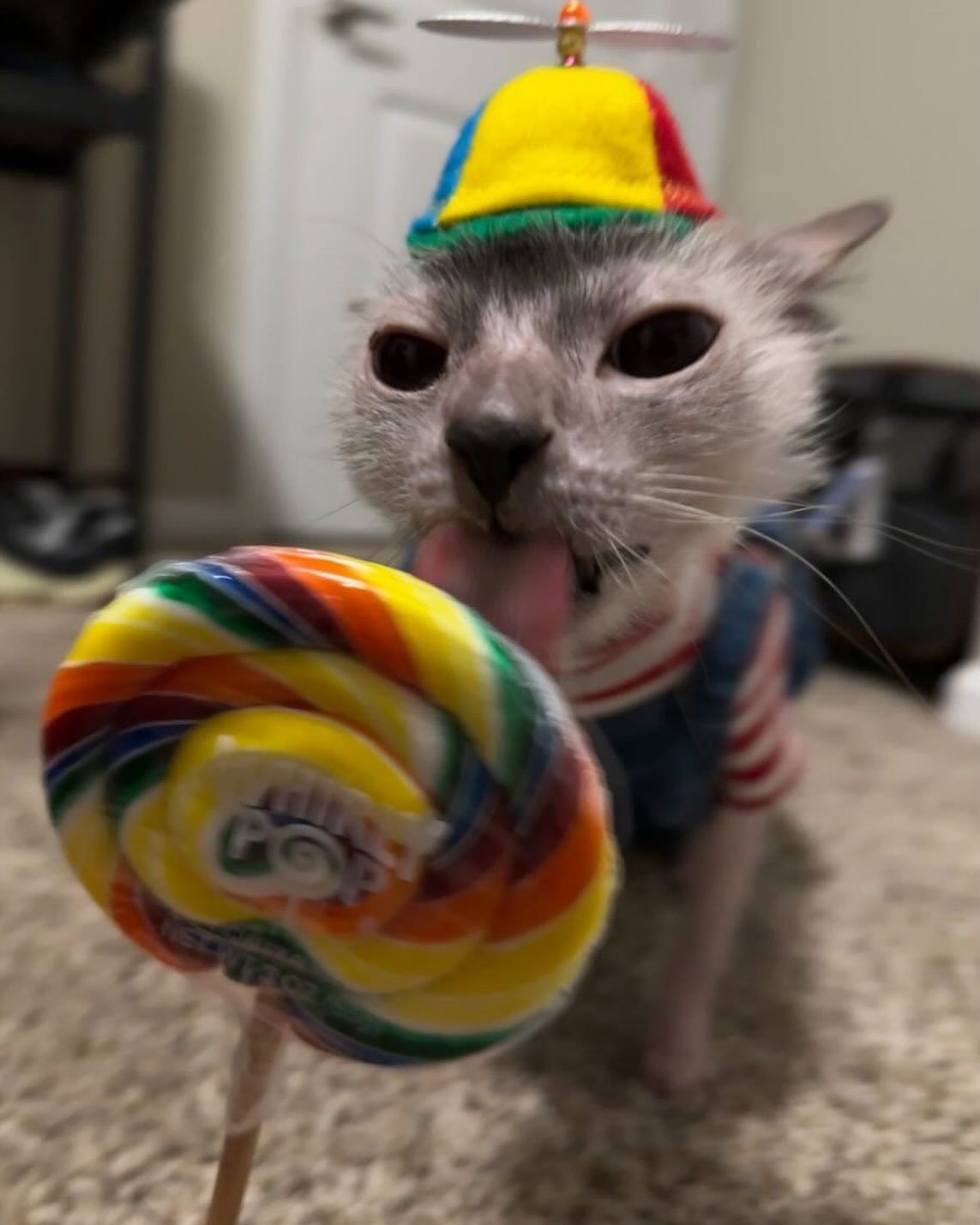 👅​​​