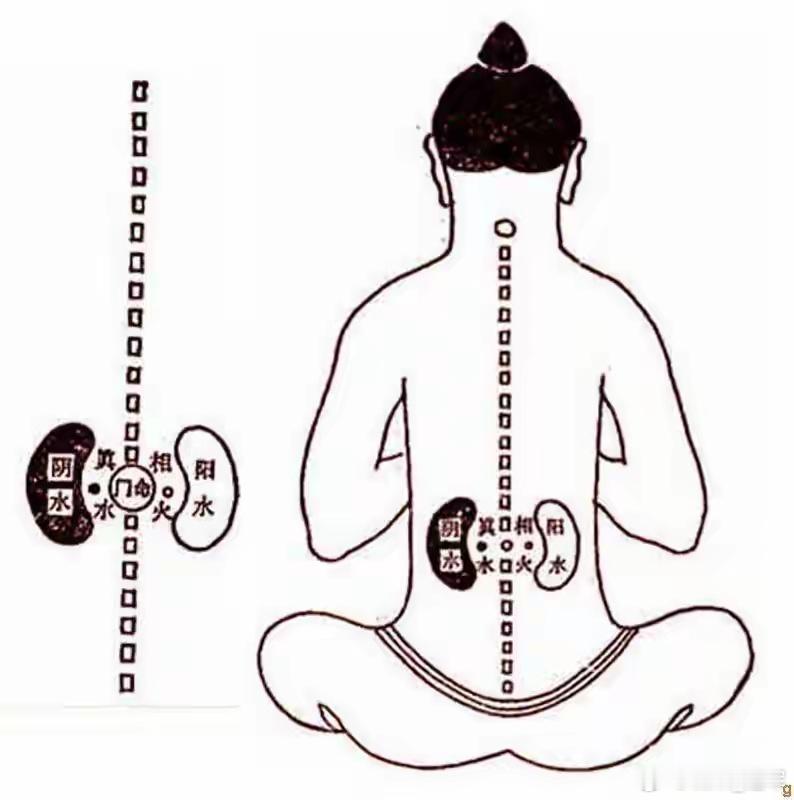 治老年性便秘有门道：几副老方子加巧思，辨证用药才管用老年人便秘是常事儿，可别都当